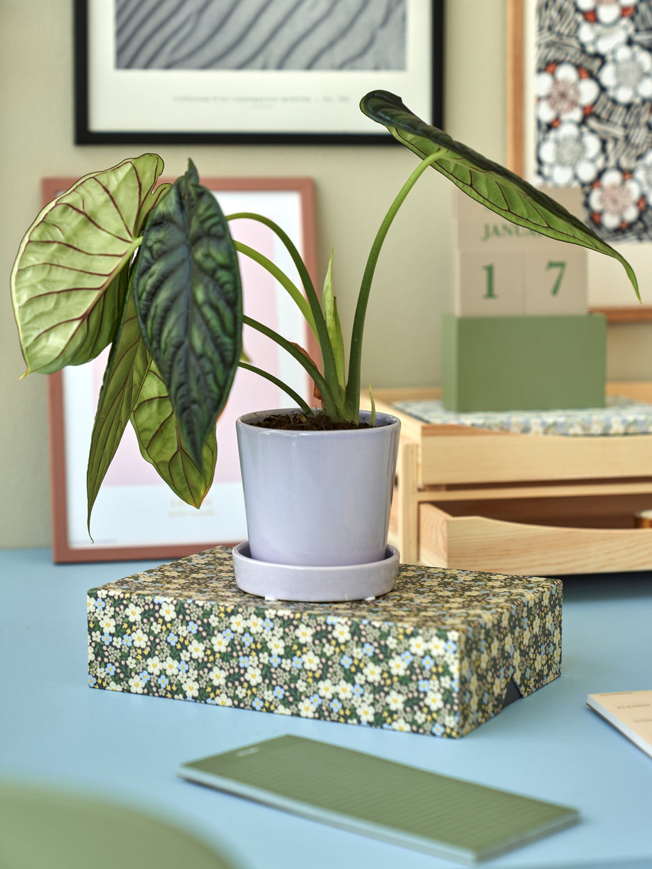 Blómapottur með undirskál