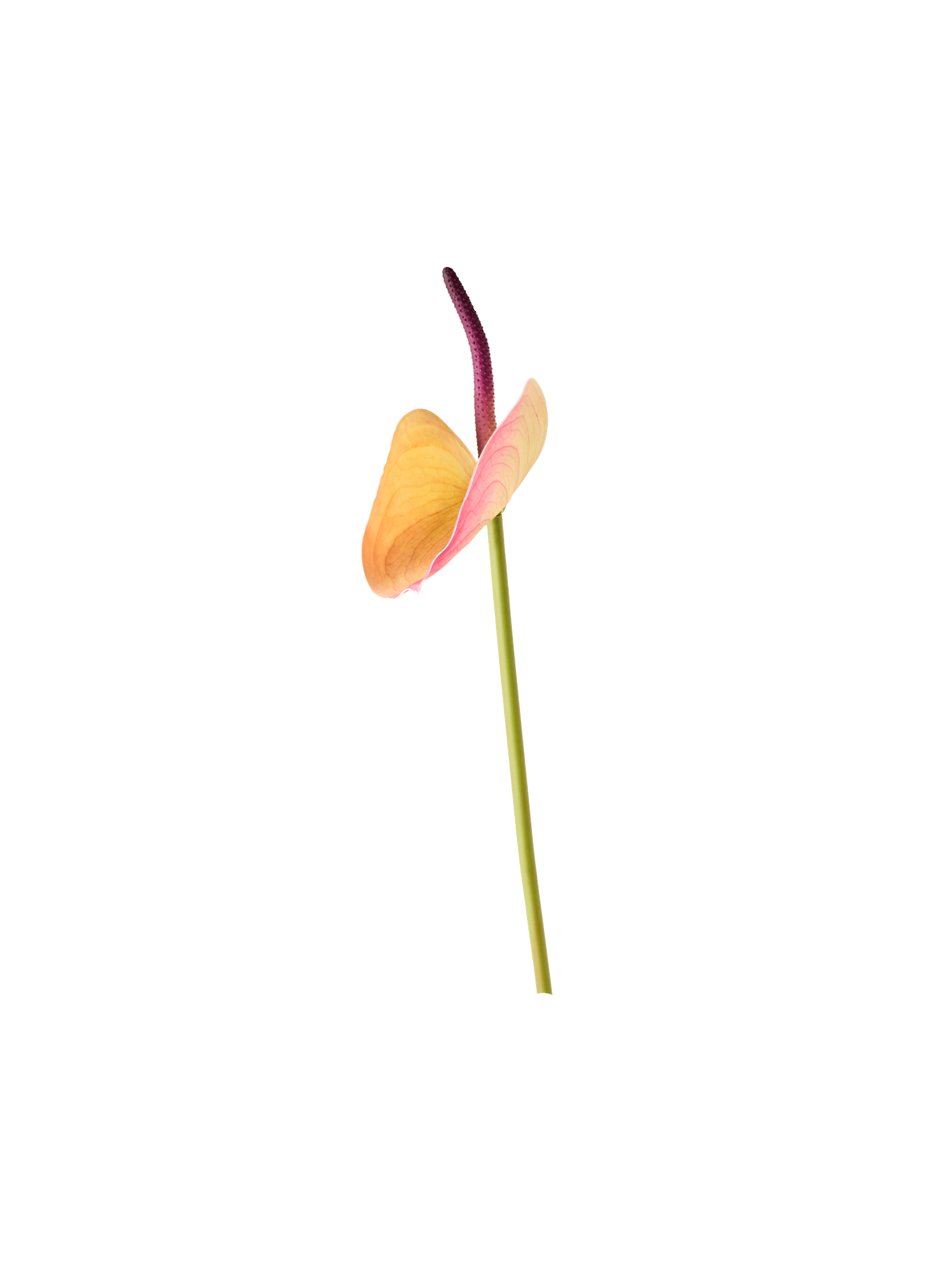 522507-001