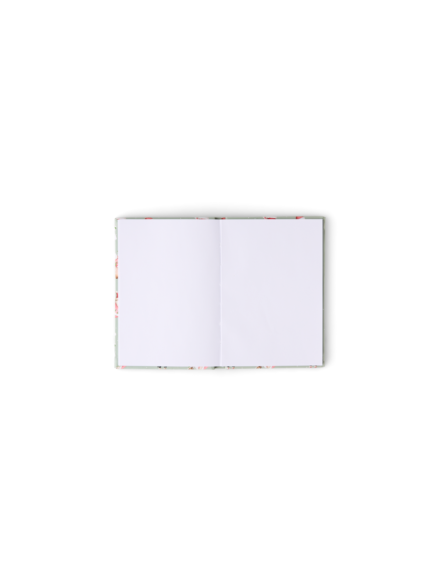 523786-001