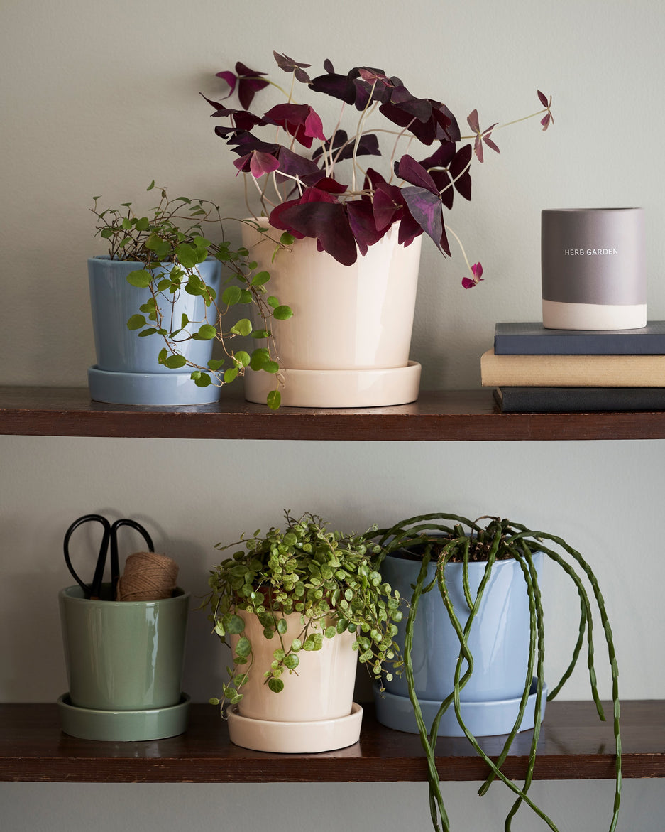 Blómapottur með undirskál