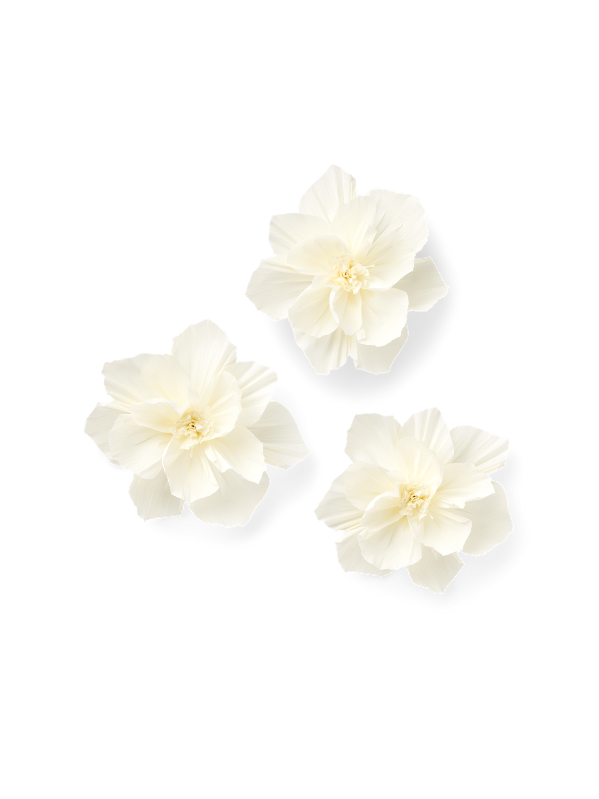 Bl m r Kreppapp r S strene Grene slandi bl-m-r-kreppapp-r-s-strene-grene-slandi