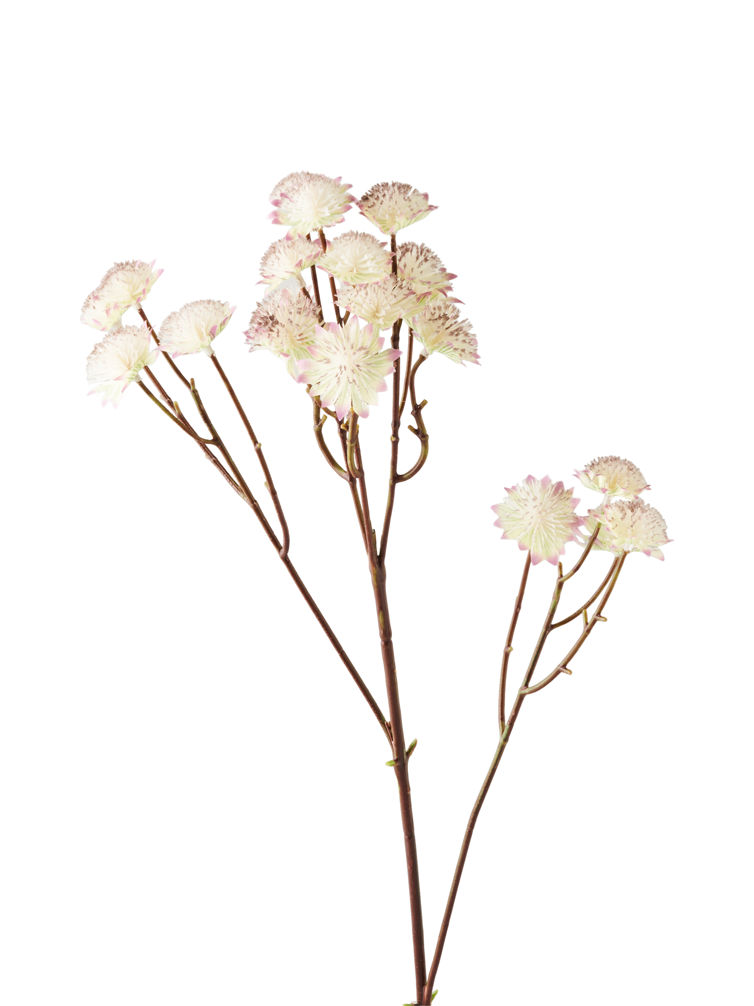 519765-001