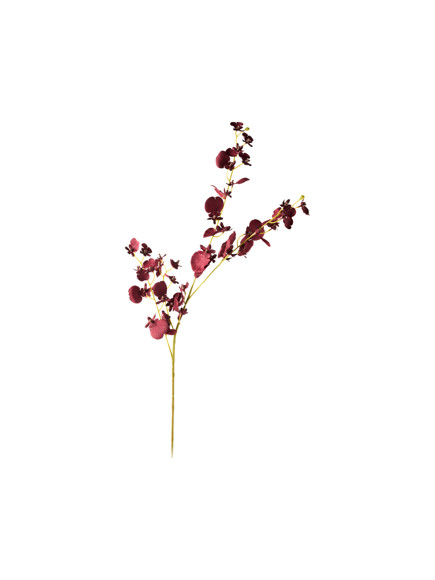 524369-001