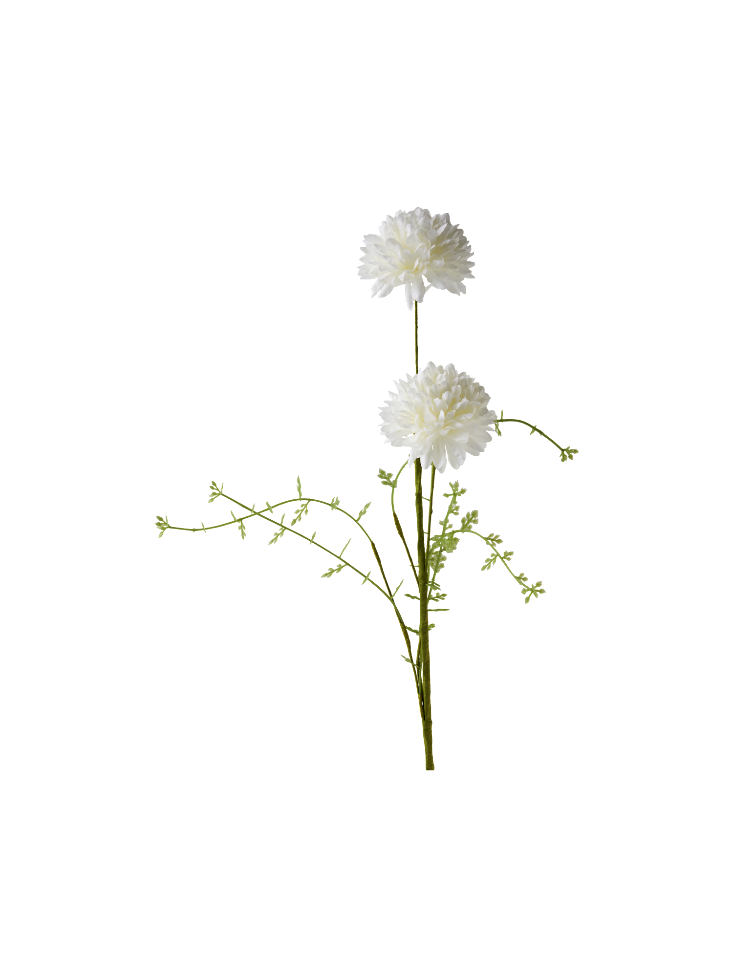 525566-003