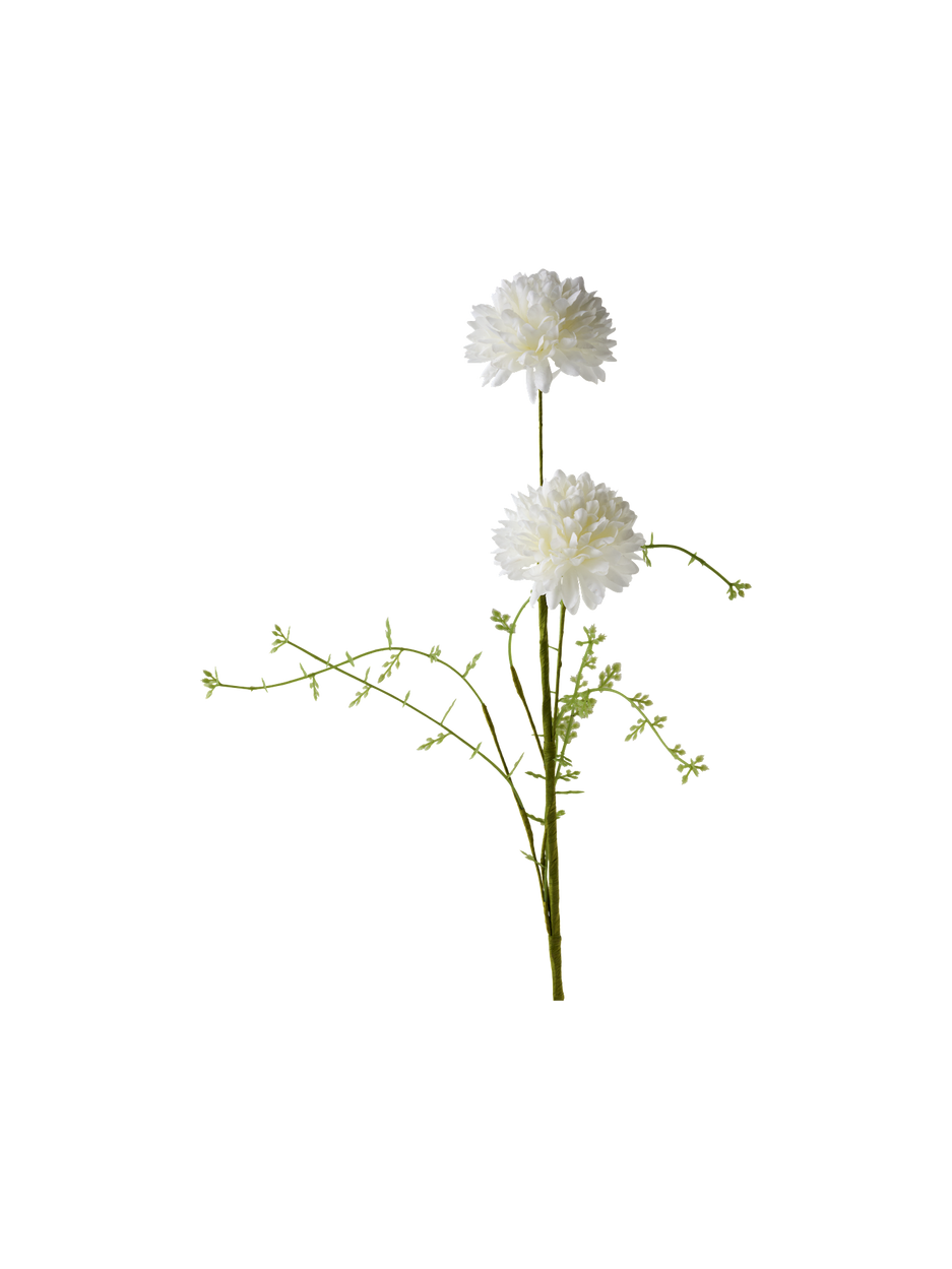 525566-003