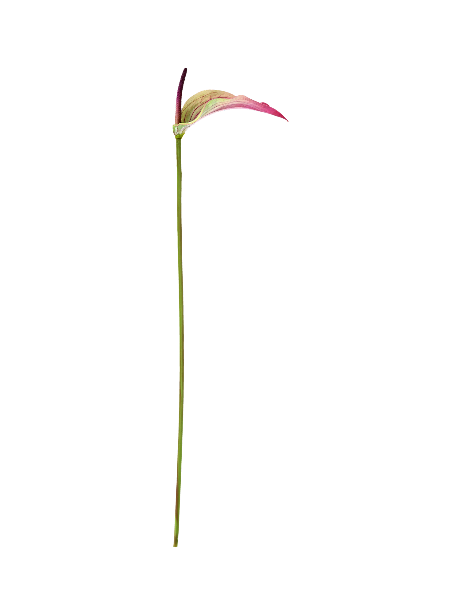 580417-001