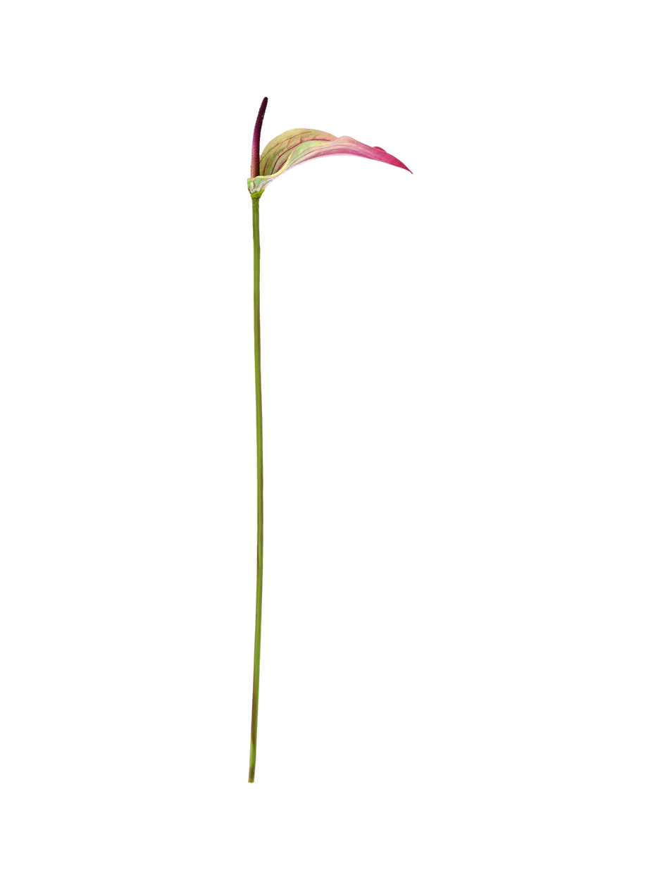 580417-001