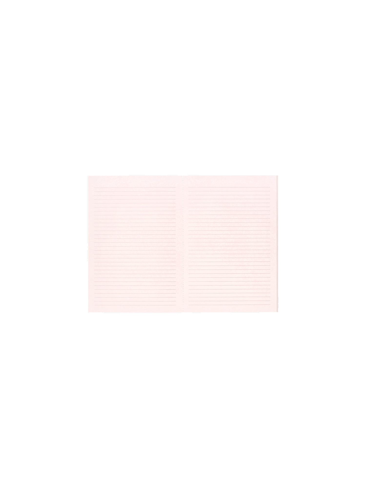 1003038
